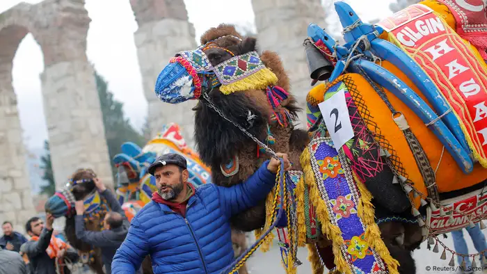 Türkei Kamel Ringen in Selcuk bei Izmir (Reuters/M. Sezer)