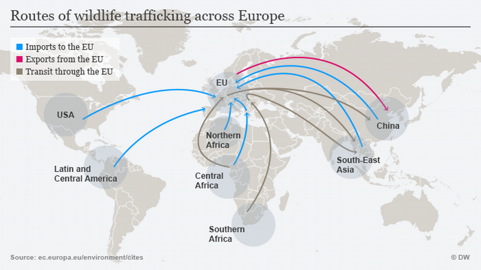 183 CITES parties work together to control wildlife trade through coordinated enforcement