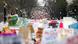 Proteste gegen Trump in Washington Proteste gegen Trump in Washington