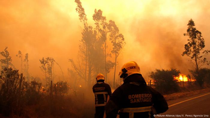 Waldbrände in Chile (Picture-Alliance/dpa/V. Perez/Agencia Uno)