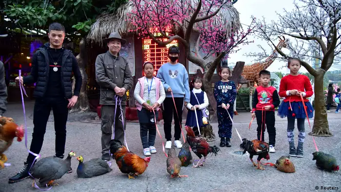 Chinesisches Neujahrsfest 2017 Hühner an der Leine in Shunde (Reuters)