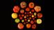 University of Florida - Tomaten University of Florida - Tomaten