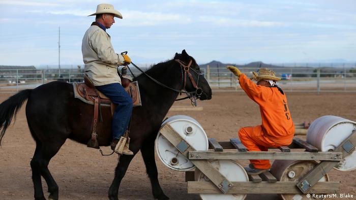 USA Wild Horse Inmate Program (Reuters/M. Blake)