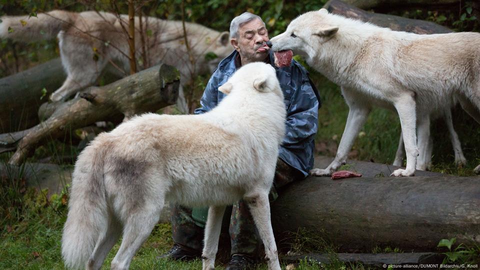 german man living with wolves