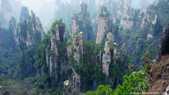 FEATURE:Those Avatar mountains are real, and theyre in China (picture-alliance/ANN/G. Cadiz)