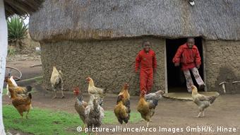 Südafrika - Zulu Kinder mit Hühner