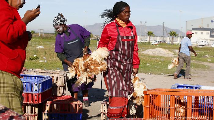 Women selling chicken