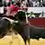 El rejoneador Pablo Hermoso durante una corrida en Bogotá, en una imagen de archivo.