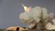Iran Test S-200 Rakete Iran Test S-200 Rakete
