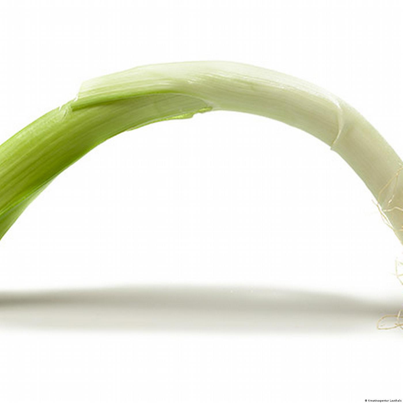 Living Planet: Playing with food