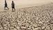 Two children walk along dry, cracked ground in Africa during a drought Two children walk along dry, cracked ground in Africa during a drought
