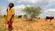 An African youth leads cattles to graze in dry land An African youth leads cattles to graze in dry land