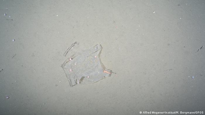 Plastic litter in the Arctic Ocean (Alfred-Wegener-Institut/M. Bergmann/OFOS)