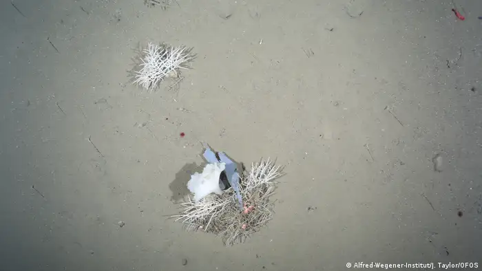 Plastic litter in the Arctic Ocean (Alfred-Wegener-Institut/J. Taylor/OFOS)