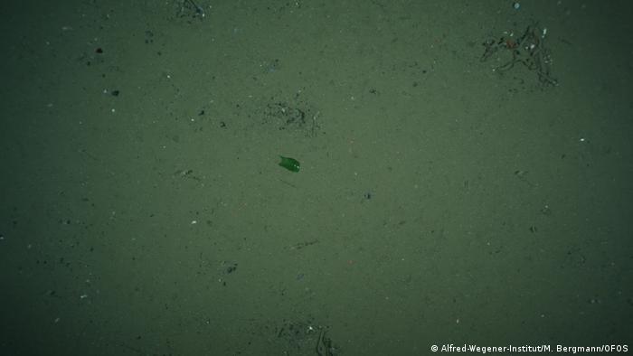 Glass shards in the Arctic Ocean (Alfred-Wegener-Institut/M. Bergmann/OFOS)