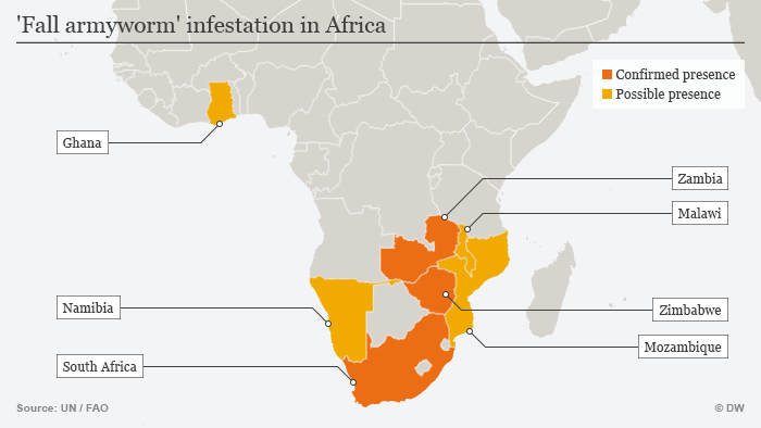 Infografik Karte Armyworm in Afrika ENG
