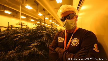 Italien Militär baut Cannabis für Schwerkranke an (Getty images/AFP/F. Monteforte)