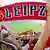 RB-Fans halten Schals in die Höhe im ausverkauften Leipziger Stadion (Foto: picture alliance/dpa/J. Woitas)