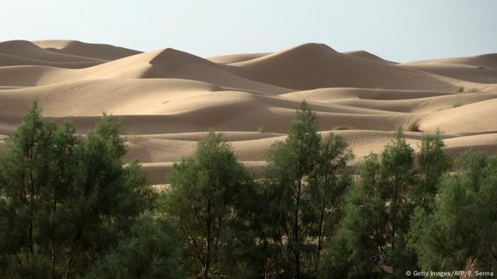 Marokko Sahara (Getty Images/AFP/F. Senna)