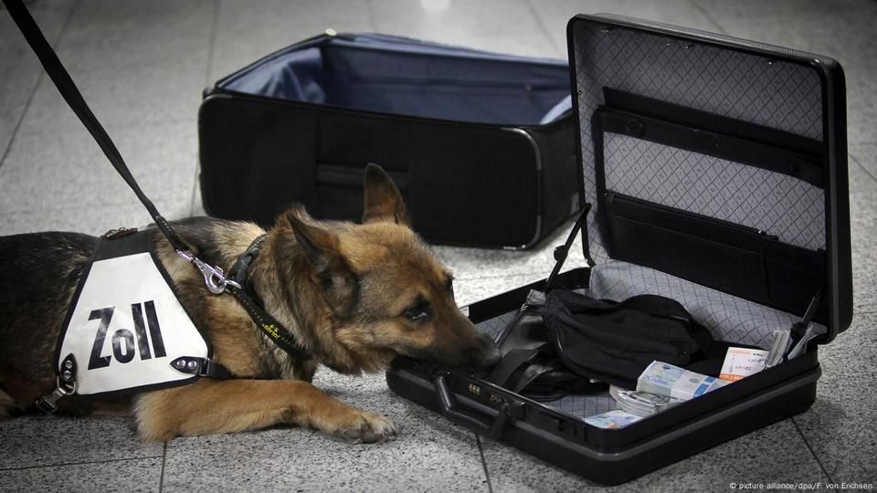 suitcase leash method