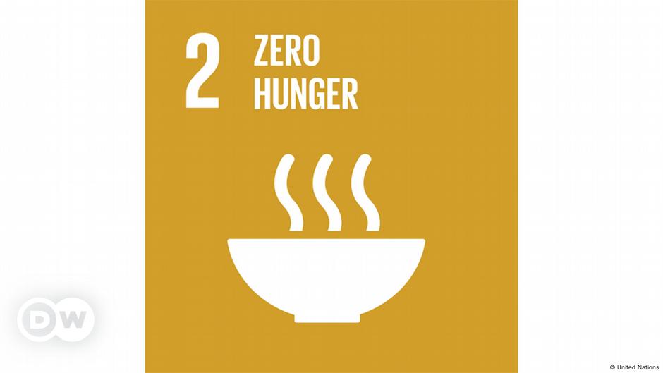 Sustainable Development Goals Zero Hunger Dw