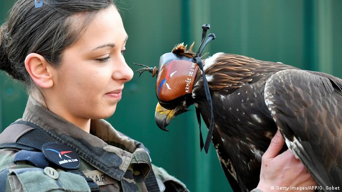 Frankreich Adler zur Bekämpfung von Dronen (Getty Images/AFP/G. Gobet)
