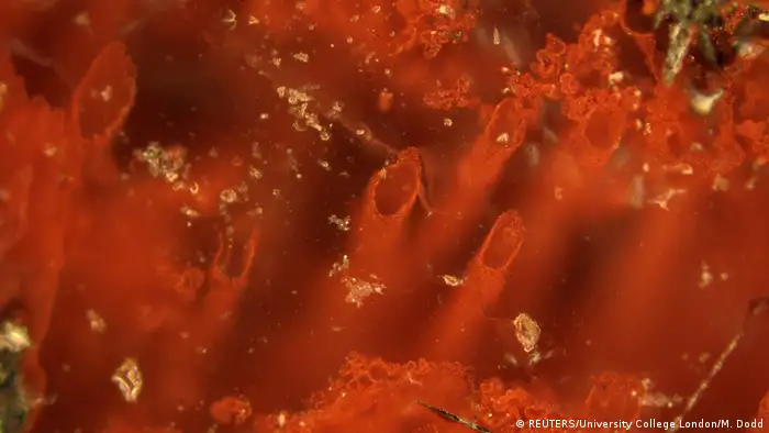 Kanada | angebliche 4Mrd Jahre alte Fosssilien (REUTERS/University College London/M. Dodd)