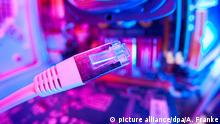 DEU/Deutschland/ILLUSTRATION: Internetanschluss; Der Stecker eines DSL-/LAN-Verbindungskabels ist vor dem Innenleben eines Computers zu sehen. **Foto: Andreas Franke** | Verwendung weltweit