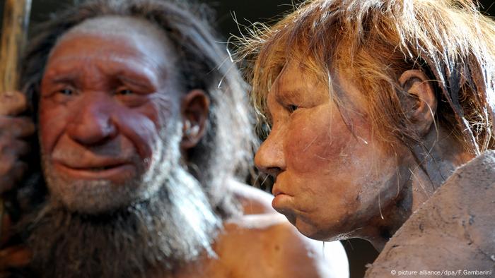 Frauen Mit Neandertaler Gen Sind Fruchtbarer Wissen Umwelt Dw 28 05 2020