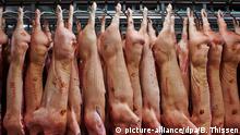 ARCHIV - Schweinehälften hängen am 28.02.2013 in Rheda-Wiedenbrück (Nordrhein-Westfalen) in der Produktionshalle des Fleischunternehmens Tönnies. Die Fleischbranche in Nordrhein-Westfalen hat im vergangenen Jahr Fleisch und Fleischerzeugnisse im Wert von 11,1 Milliarden Euro produziert. Das ist ein leichter Rückgang von 0,4 Prozent, wie das Statistische Landesamt am Freitag berichtete Foto: Bernd Thissen/dpa +++(c) dpa - Bildfunk+++ | Verwendung weltweit