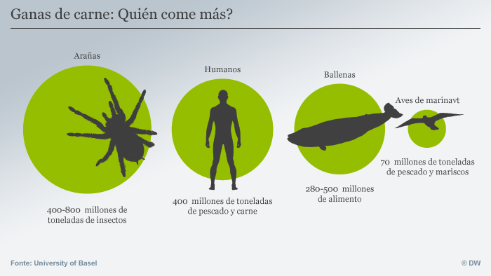 Infografik Ganas de carne spanisch