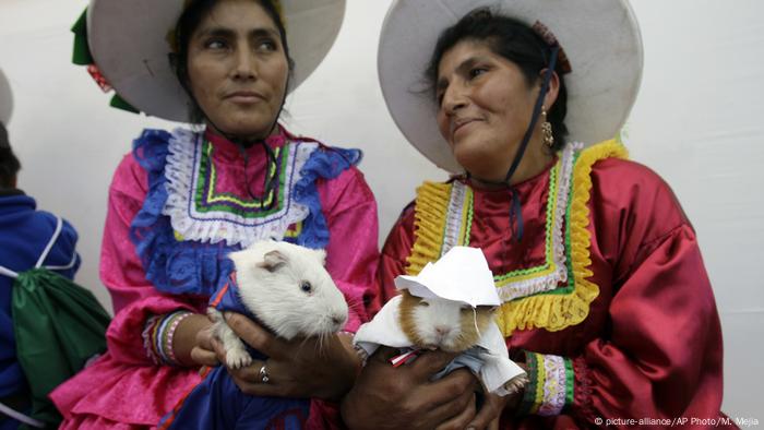 Peru - Guinea pig food festival in Huacho