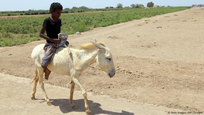 Un niño yemení montado en un burro.
