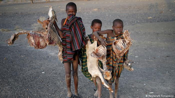 Boys carry carcasses of goats in a village near Loiyangalani, Kenya (Reuters/G.Tomasevic)
