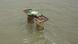 Sealand | Mikronation Sealand | Mikronation