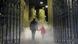 Harry Potter, The Forbidden Forest Harry Potter, The Forbidden Forest