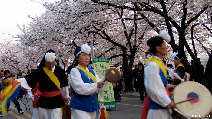 The Endangered Beauty Of Cherry Blossoms Around The World All Media Content Dw 31 03 2017