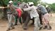 Südafrika Nashorn-Rettung nach Botsuana Südafrika Nashorn-Rettung nach Botsuana