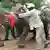 Südafrika Nashorn-Rettung nach Botsuana