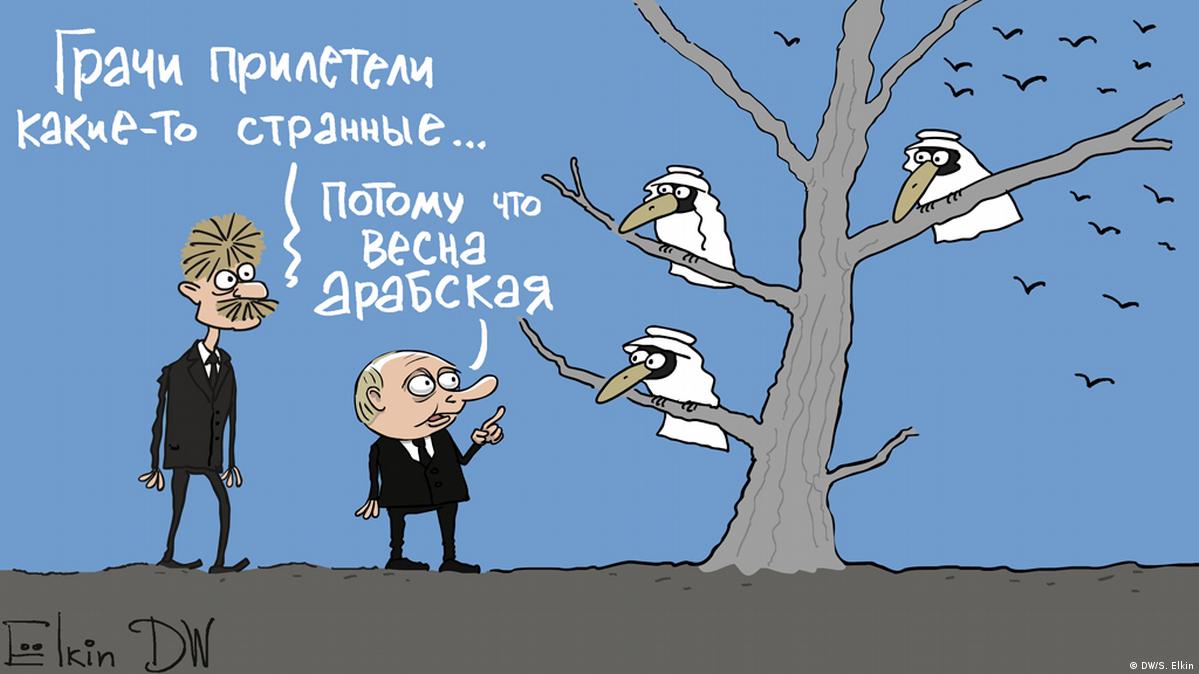 Soba4ki лисички. с каких хренов. грачи прилетели карикатура. ни хрена себе картинки. с каких хренов.