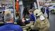 Russland Explosion Metro in Sankt Petersburg Russland Explosion Metro in Sankt Petersburg