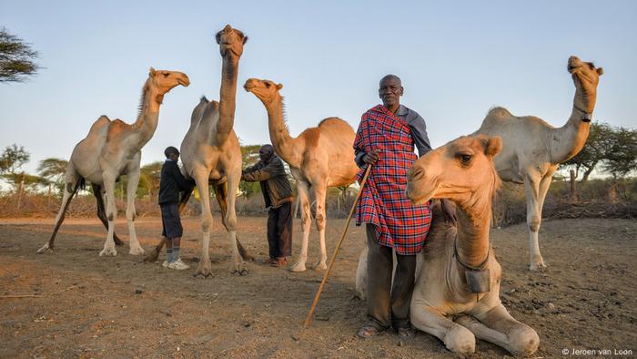 Kenyans Turn To Camels To Cope With Climate Change Environment All Topics From Climate Change To Conservation Dw 24 04 2017