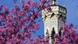 The top of an ornamental tower seen behind trees in bloom in Potsdam, Germany The top of an ornamental tower seen behind trees in bloom in Potsdam, Germany