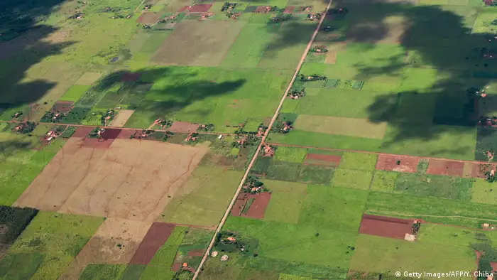 Brasilien - Luftaufnahme - Landwirtschaft (Getty Images/AFP/Y. Chiba)