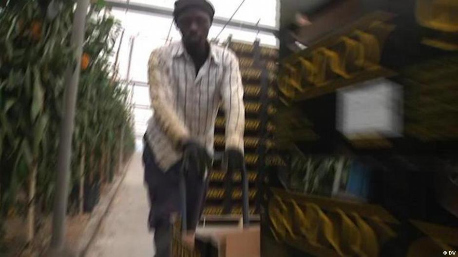 Spain Cheap laborers for cheap vegetables DW 04/13/2017