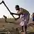 Bauern bei der Feldarbeit in Malawi (Bild: dpa)