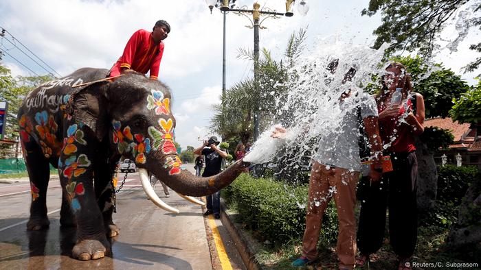 Elephant Riding Is A Dark Side Of Tourism Dw Travel Dw 06 07 17