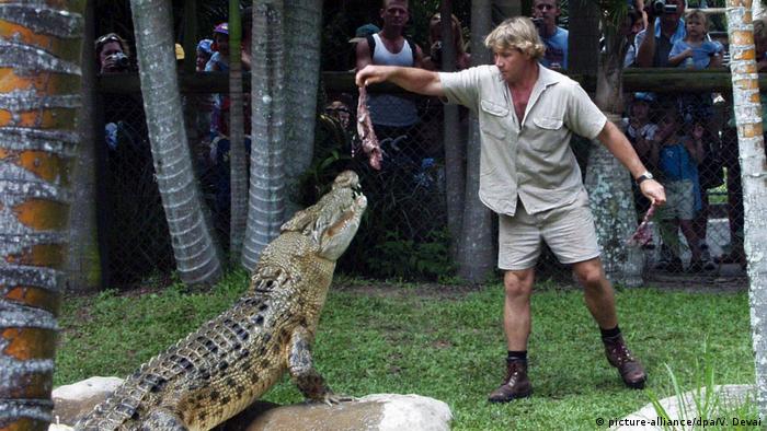 Australian crocodile caught by man inspired by TV Steve Irwin | News | DW | 17.04.2017