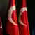 Після перемоги Ердогана на референдумі Туреччина продовжує дію надзвичайного стану