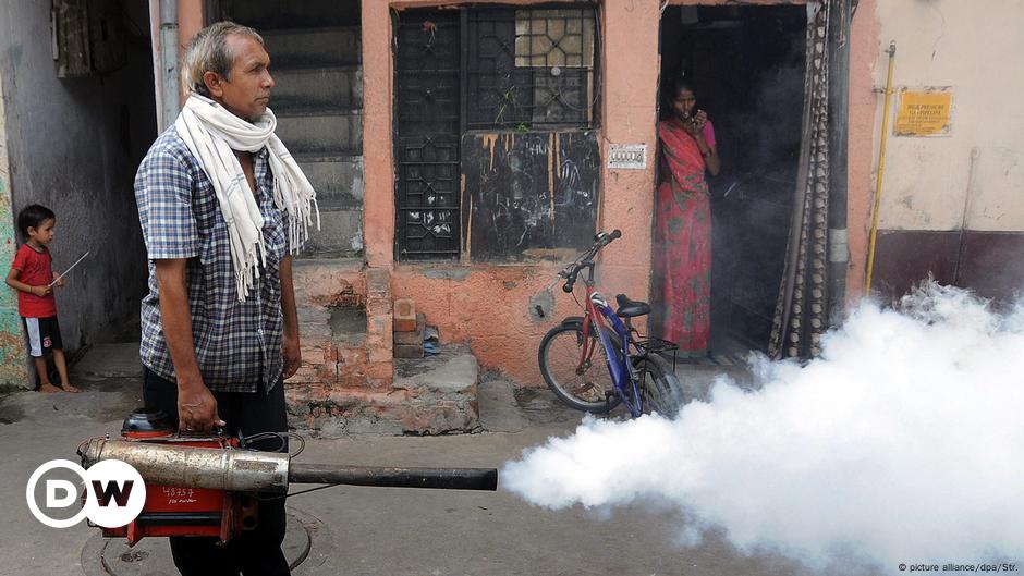 World In Progress: Battling Dengue And Chikungunya In India – DW – 04 ...